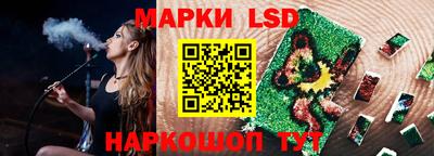 СК Новодвинск