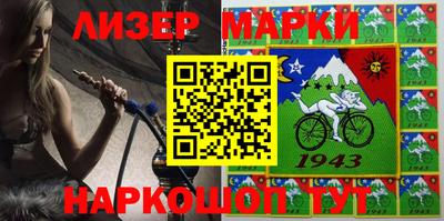 СК Новодвинск