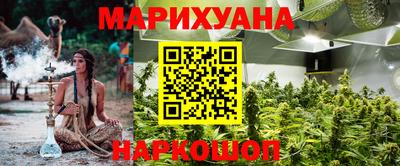 СК Новодвинск