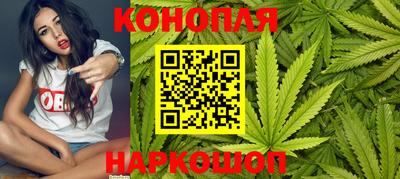 СК Новодвинск