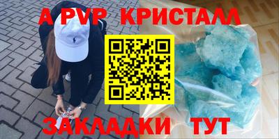 СК Новодвинск