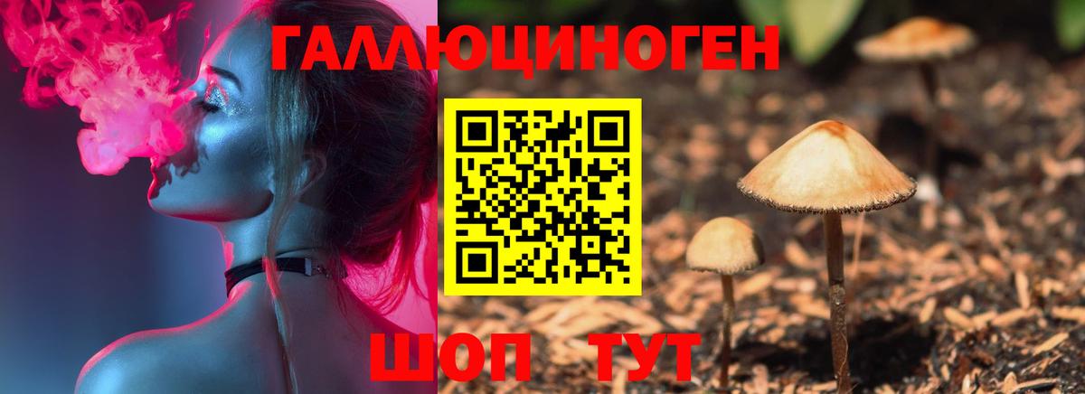 Псилоцибиновые грибы мухоморы Тихорецк