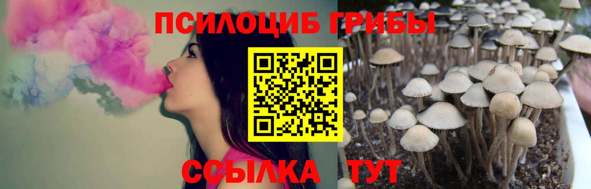 Тихорецк  Галлюциногенные грибы мицелий  Вход с VPN 